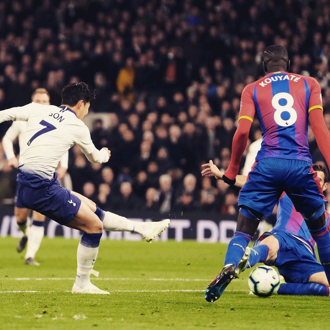 一共贡献了 一共贡献了